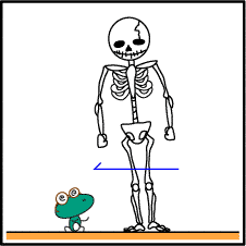 2.�g�̂��c�ރ��J�j�Y��